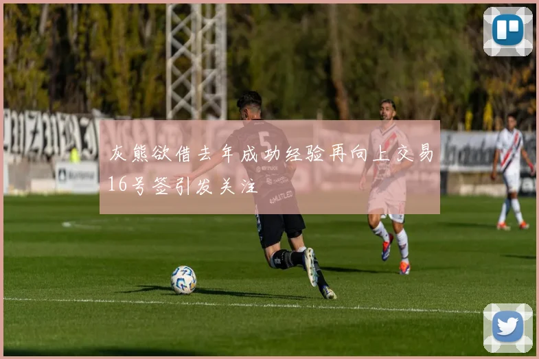 灰熊欲借去年成功经验再向上交易16号签引发关注