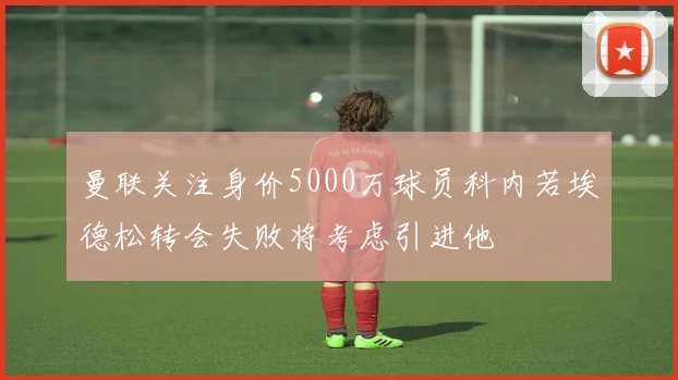 曼联关注身价5000万球员科内若埃德松转会失败将考虑引进他