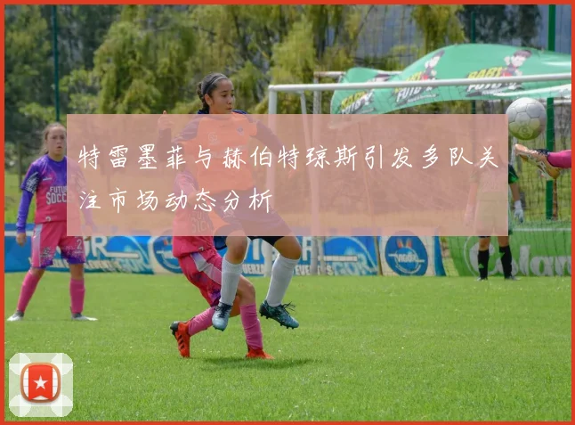 特雷墨菲与赫伯特琼斯引发多队关注市场动态分析